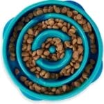 5 Reasons Our Dogs Love Slow Feeder Bowls